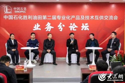 首次勝利油田專業(yè)化服務(wù)及產(chǎn)品互供交流展覽會(huì)舉辦業(yè)務(wù)沙龍，電力專場(chǎng)咨詢策劃服務(wù)引領(lǐng)創(chuàng)新浪潮